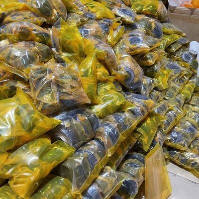 Purple Horn aangepaste motorkussen motorsteun voor Caterpillar E307 4D32